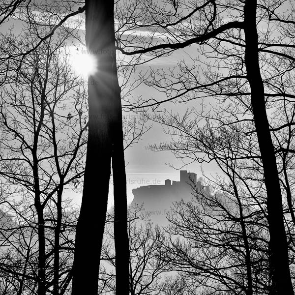 Foto Burg Trifels Winter